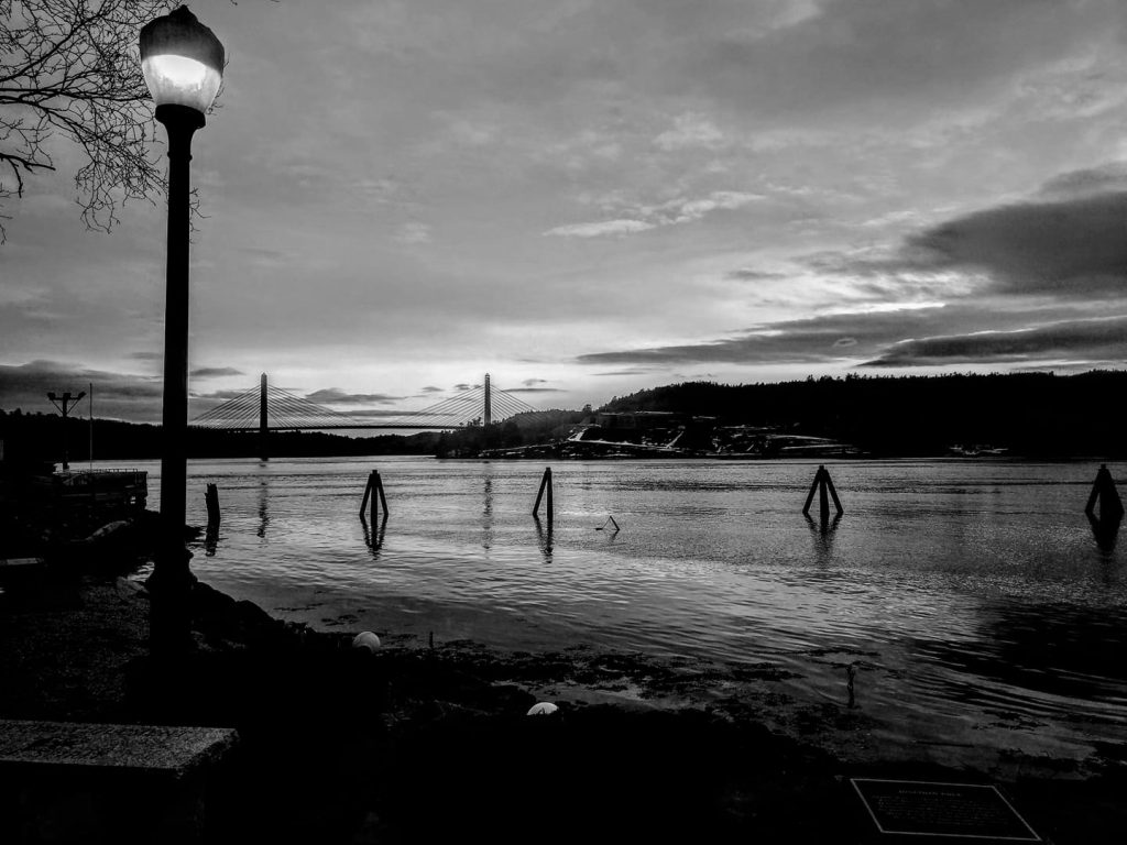 Best Times to Post on Social Media during the COVID19 Pandemic